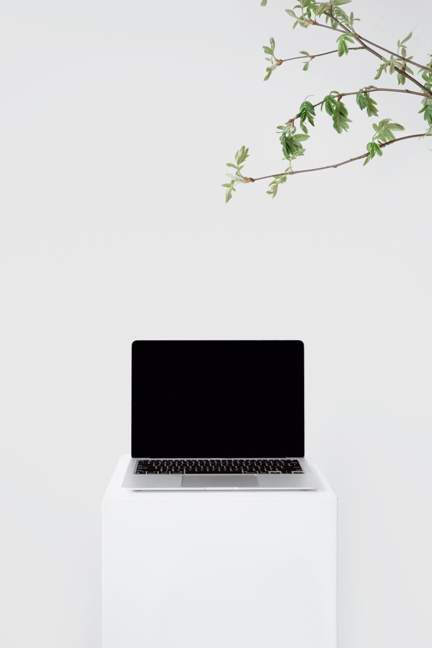 A sleek laptop on a white podium with branches, capturing minimalism and modernity.